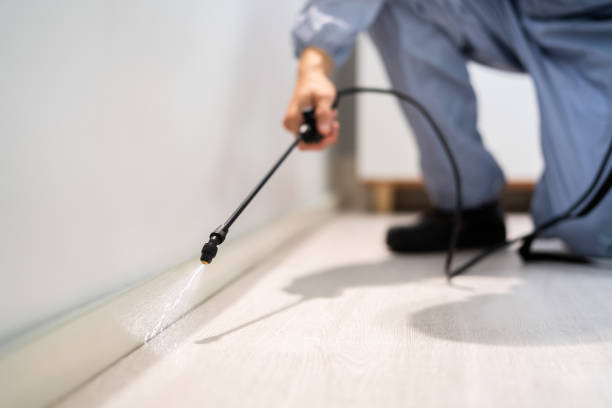 Licensed Cockroach Control service in Manassas Park, VA - Nex Pest Control
