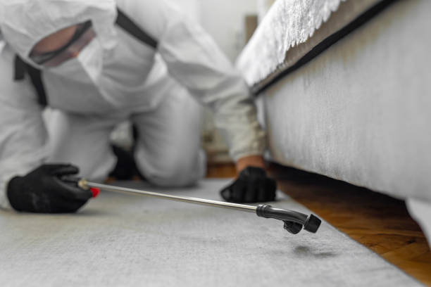 Professional Cockroach Control technician working in Manassas Park, VA