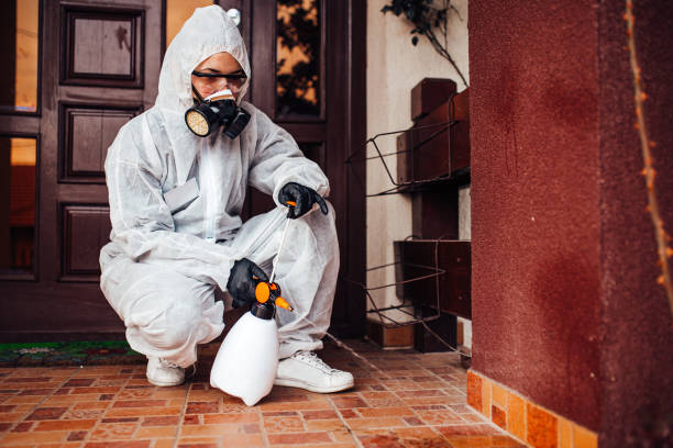 Reliable Cockroach Control contractor in Manassas Park, VA by Nex Pest Control