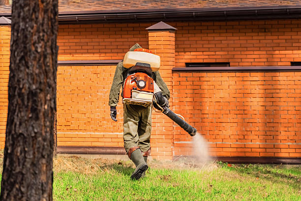 Trusted Cockroach Control service in Manassas Park, VA - Nex Pest Control